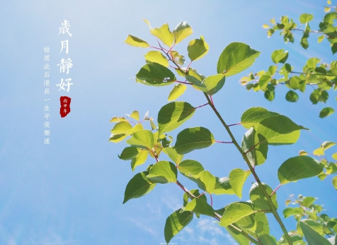 愿歲月靜好，山河無恙